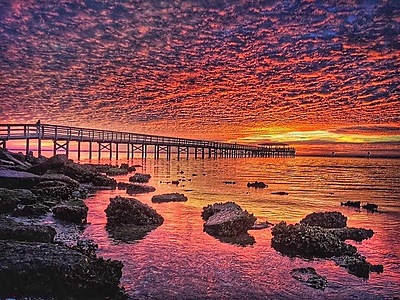 IMG_1382.JPG - Neighbors Unite - Safety Harbor image