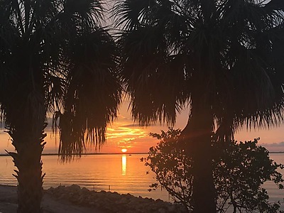 IMG_0010.JPG - SER Interesting information image